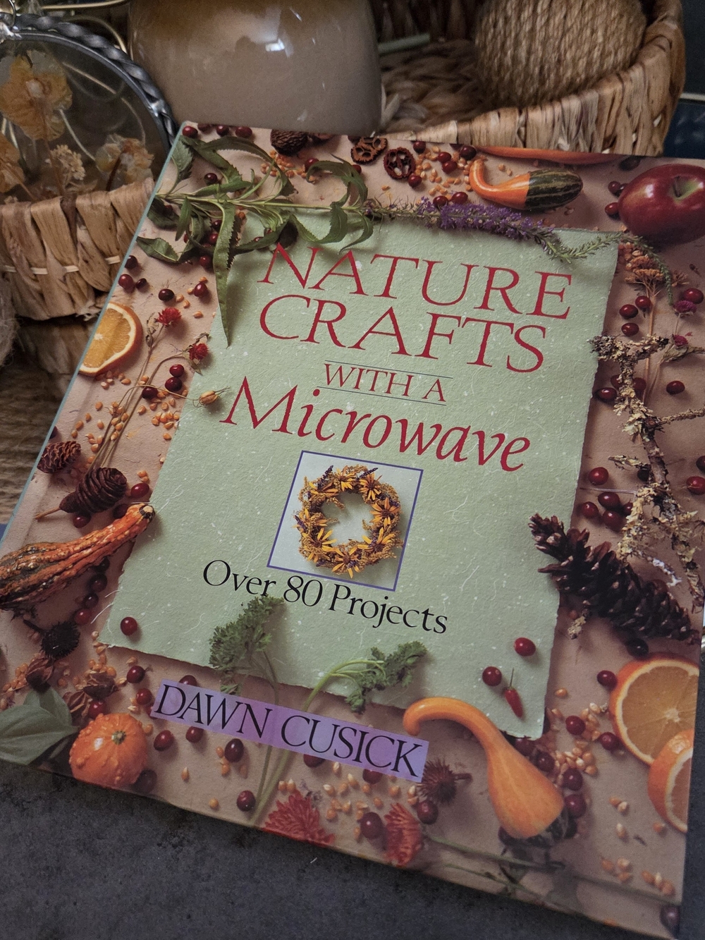 Nature Crafts With a Microwave Dawn Cusick 80+ Projects Craft Book